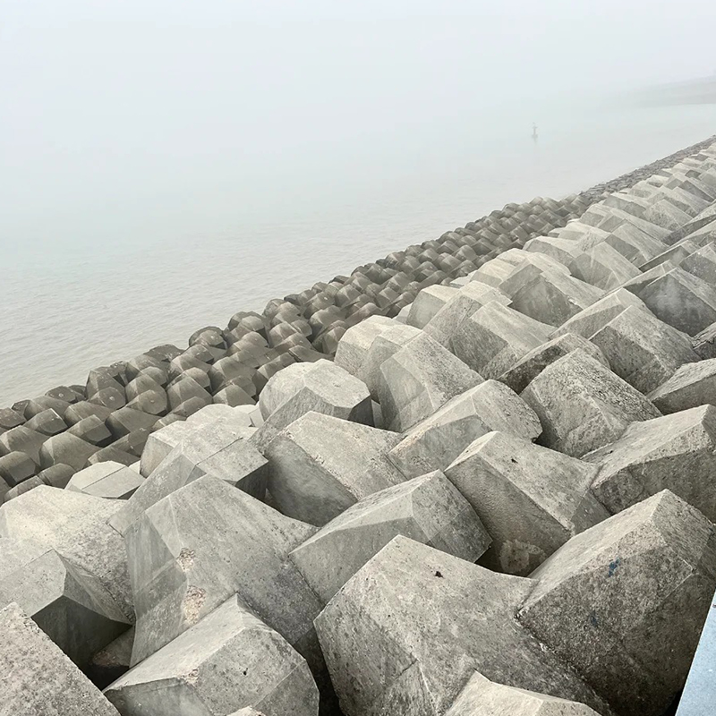 Accropod Formwork / Mole