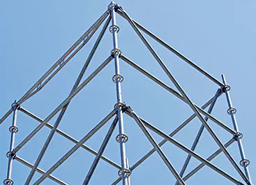 Scaffold